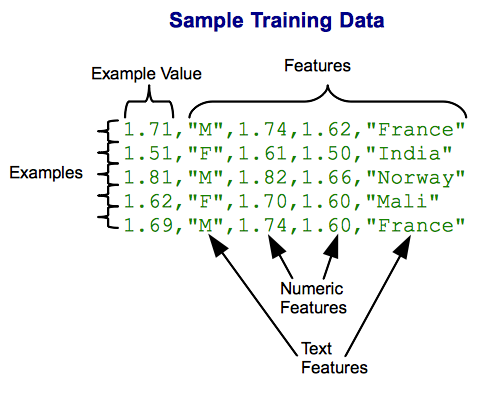 Example of training data in Google Prediction